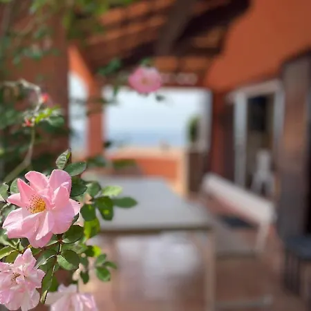 Villa Maison De Lou Porticcio (Corsica)