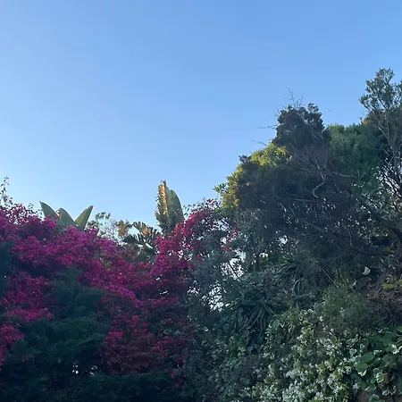 Maison De Lou * Porticcio (Corsica)