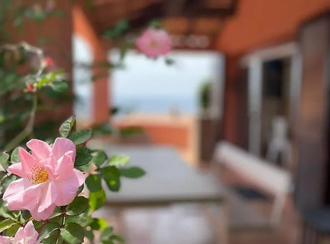 Villa Maison De Lou Porticcio